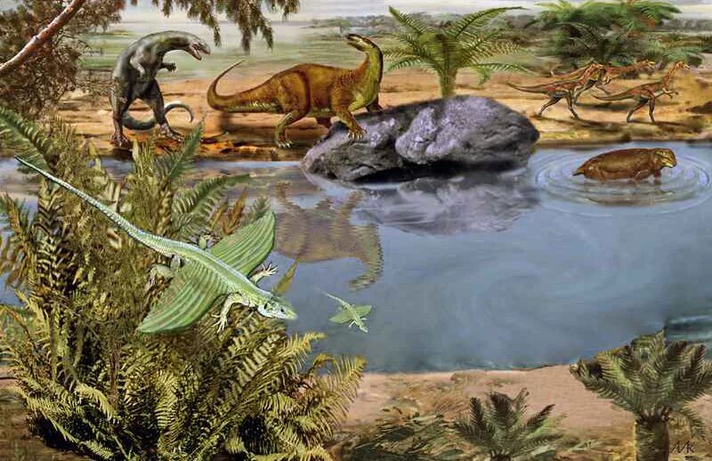 Фанерозой мезозой. Рептилии мезозойской эры. Растения в эпоху динозавров. Динозавры мезозоя. Появление пресмыкающихся эра