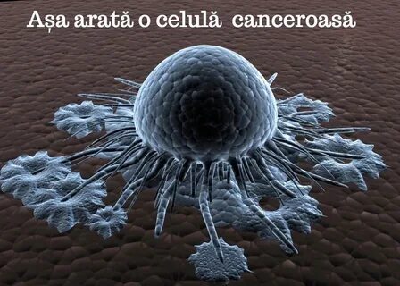 Ce este