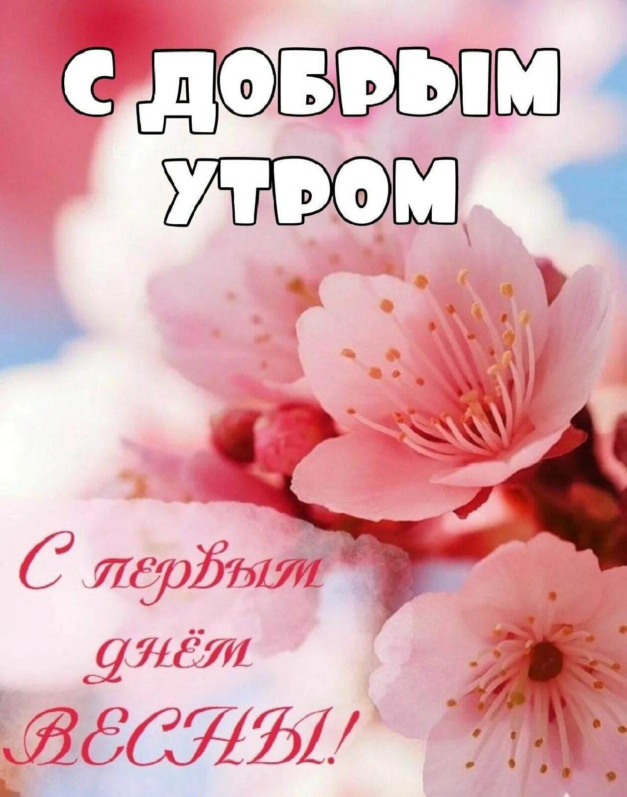 С первым днем весны нежные картинки красивые. Открытки с первым днем весны. С первым днем весны. Весенние цветы в бокале. С первым днем весны нежные картинки красивые.
