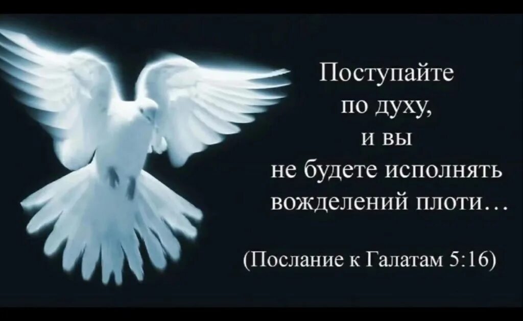 Победа над плотью