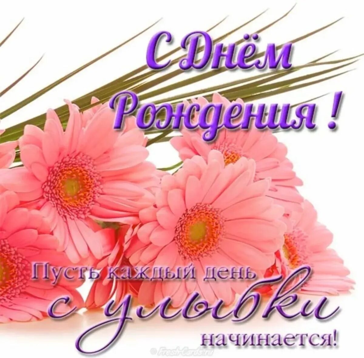 Открытки с 1 днем рождения женщине