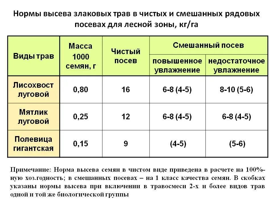 При какой температуре можно сеять газонную траву