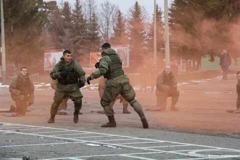 15 мсп