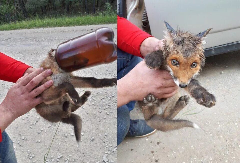 Притворились что застряли