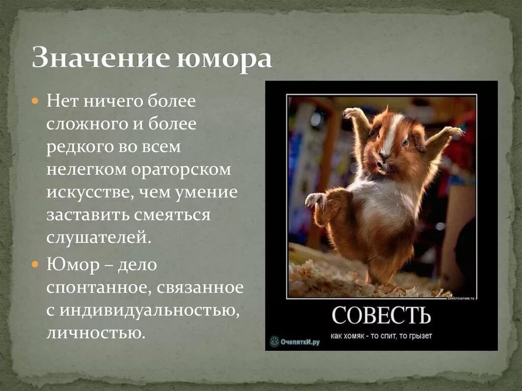 Pejnya net юмор. Важность юмор. юмор значение. что значит юмор. нет юмор.