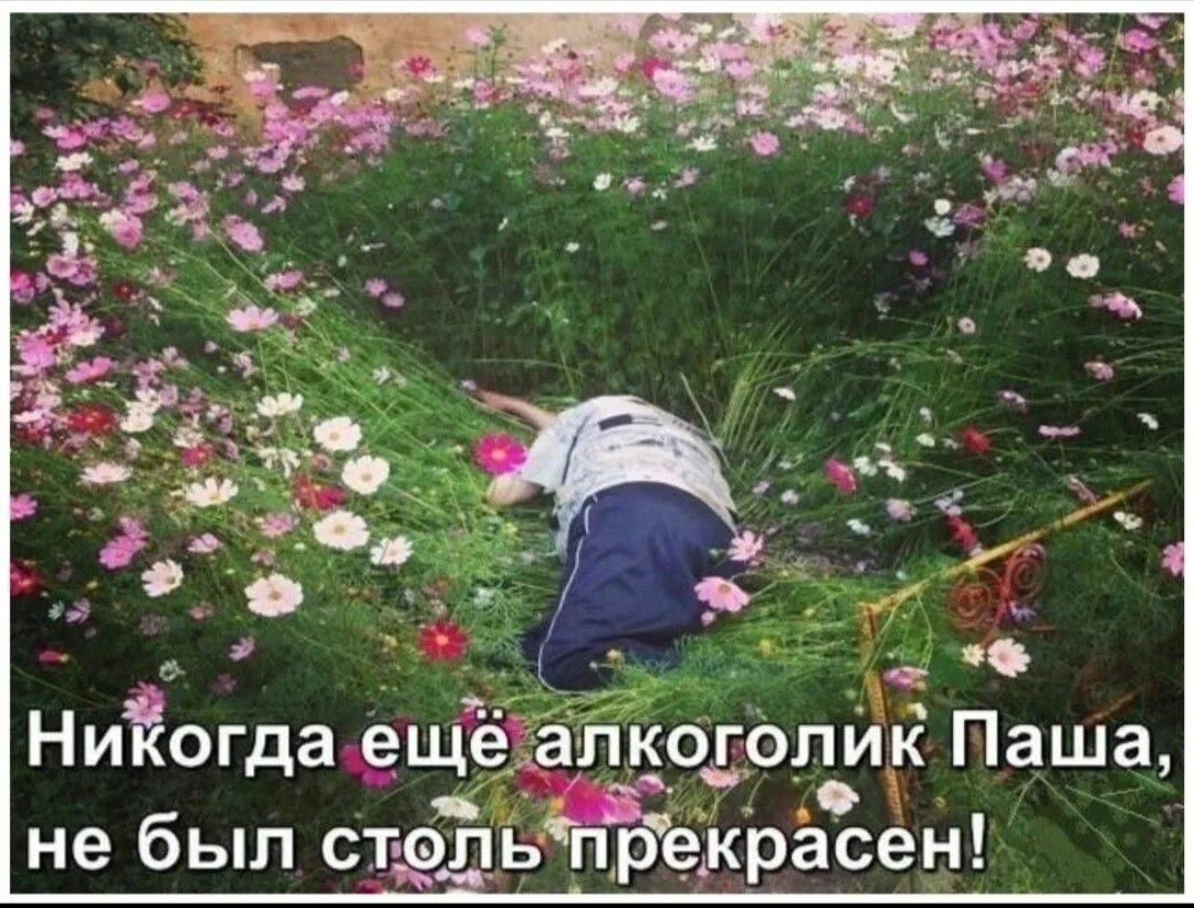Мемы 2019. Завидую голубям пролетая над моей. Никогда еще ей. Свидетелем не приходилось быть. Хрупкая гетеросексуальность мем.