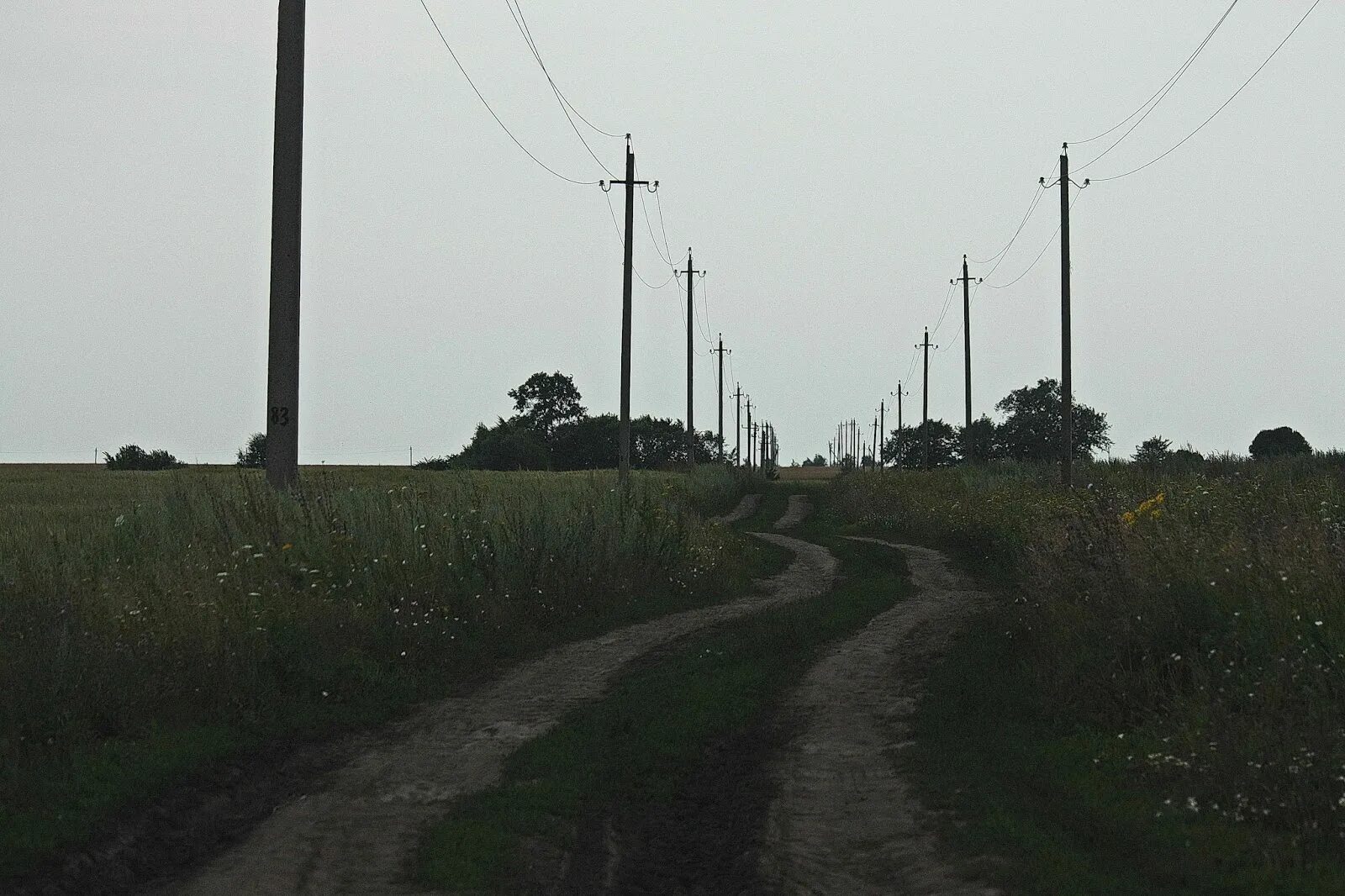 Дубровка тамбовская область. Дубровка тамбовская область. Деревня дубровка. Деревня дубровка белоруссия. Дубровка тамбовская область.