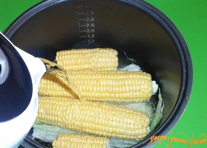 Сколько варить кукурузу в скороварке по времени. Кастрюля для варки кукурузы. кукуруза в скороварке. кукуруза в кастрюле. кукуруза в пароварке.