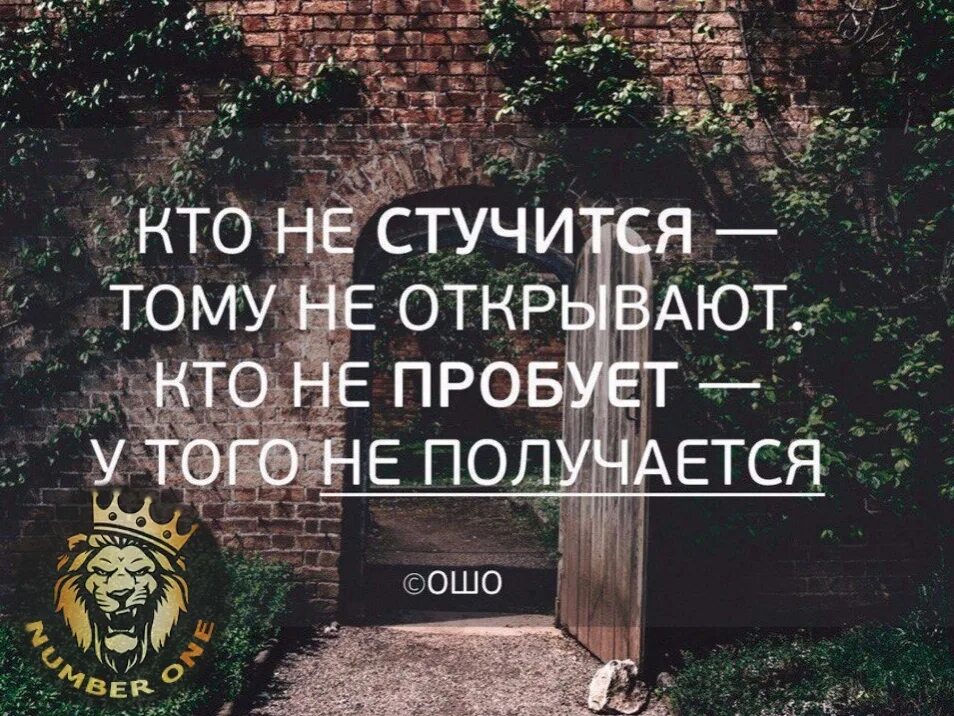 Стучит ся. Кто не стучится тому не открывают. Ошо кто не стучится тому не открывают. Цитата кто не стучится тому не открывают. Мотивирующие цитаты.