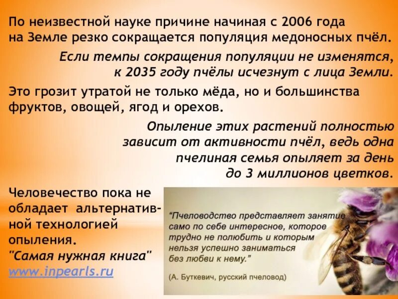 Медоносные пчелы жесткий поджог егэ. Если пчелы исчезнут с лица земли. Пчелы и мед. Поведение пчел. Пчеловодство проект.