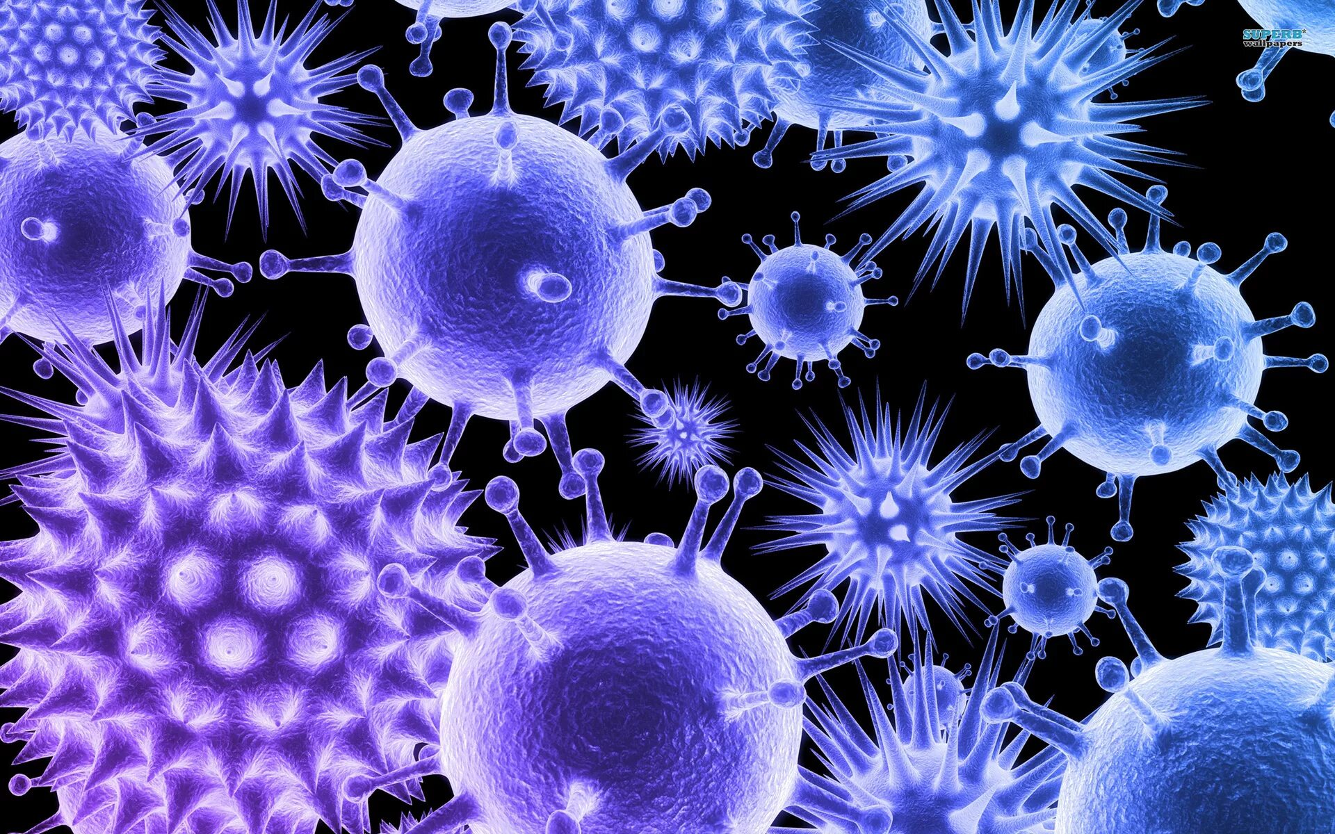 Много новых вирусов. Вирус коронавирус микробиология. Коронавирус микробиология. Вирусы картинки. Красивые вирусы.