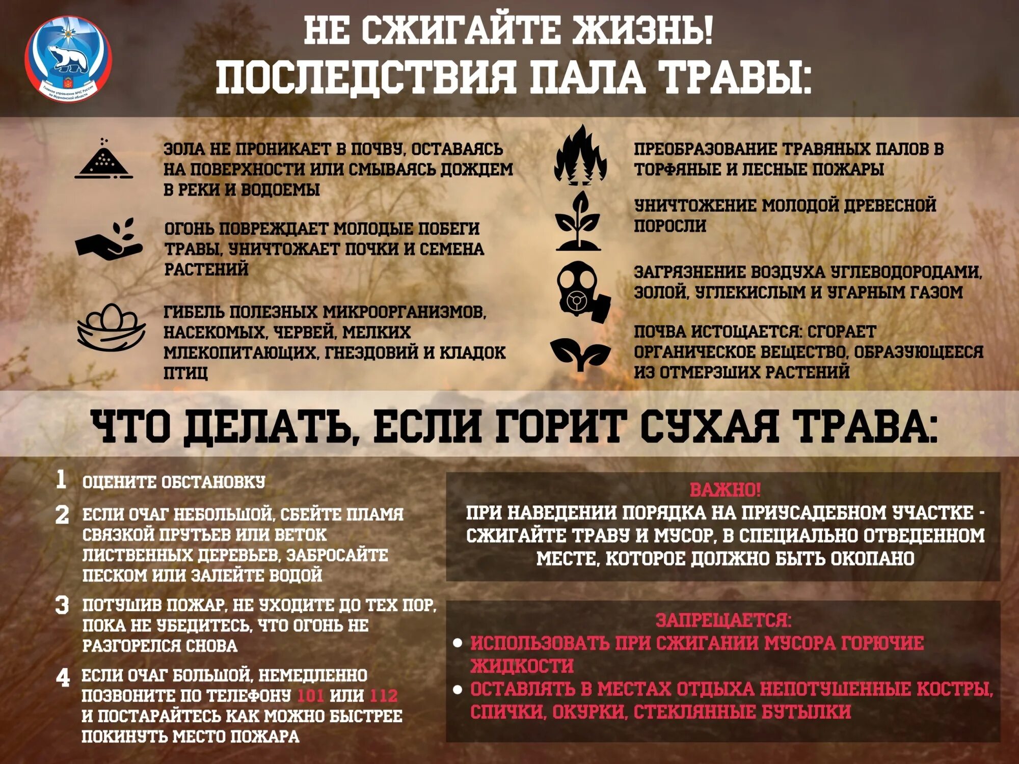 Акции пал пал. Пал сухой травы мчс. пал травы памятка мчс. пал сухой травы мчс памятка.