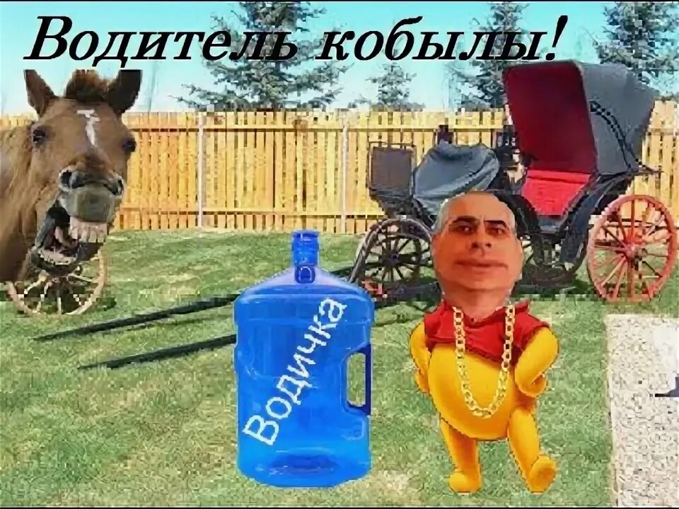 Песня водитель кобылы. Песня водитель кобылы. Песня водитель кобылы. Извозчик утесов. Прикольные картинки костик водитель кобылы.