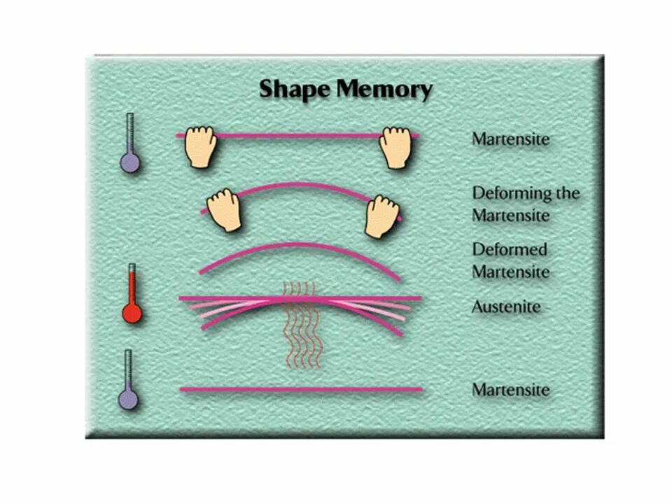 Shaping effect. Сплавы с памятью формы. Сплавы с эффектом памяти формы. Эффект памяти формы. Материалы с памятью формы.