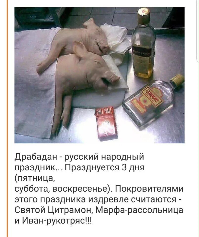 Песня по субботам пьянки после день отходов