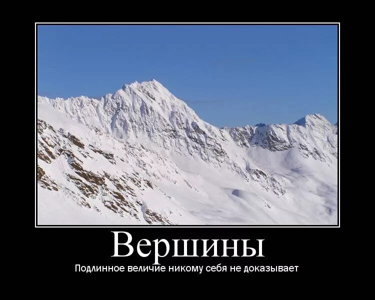 Вершина поэзии. Высказывания про горы. Смешные фразы про горы. Красивые слова про горы. Красивые высказывания про горы.