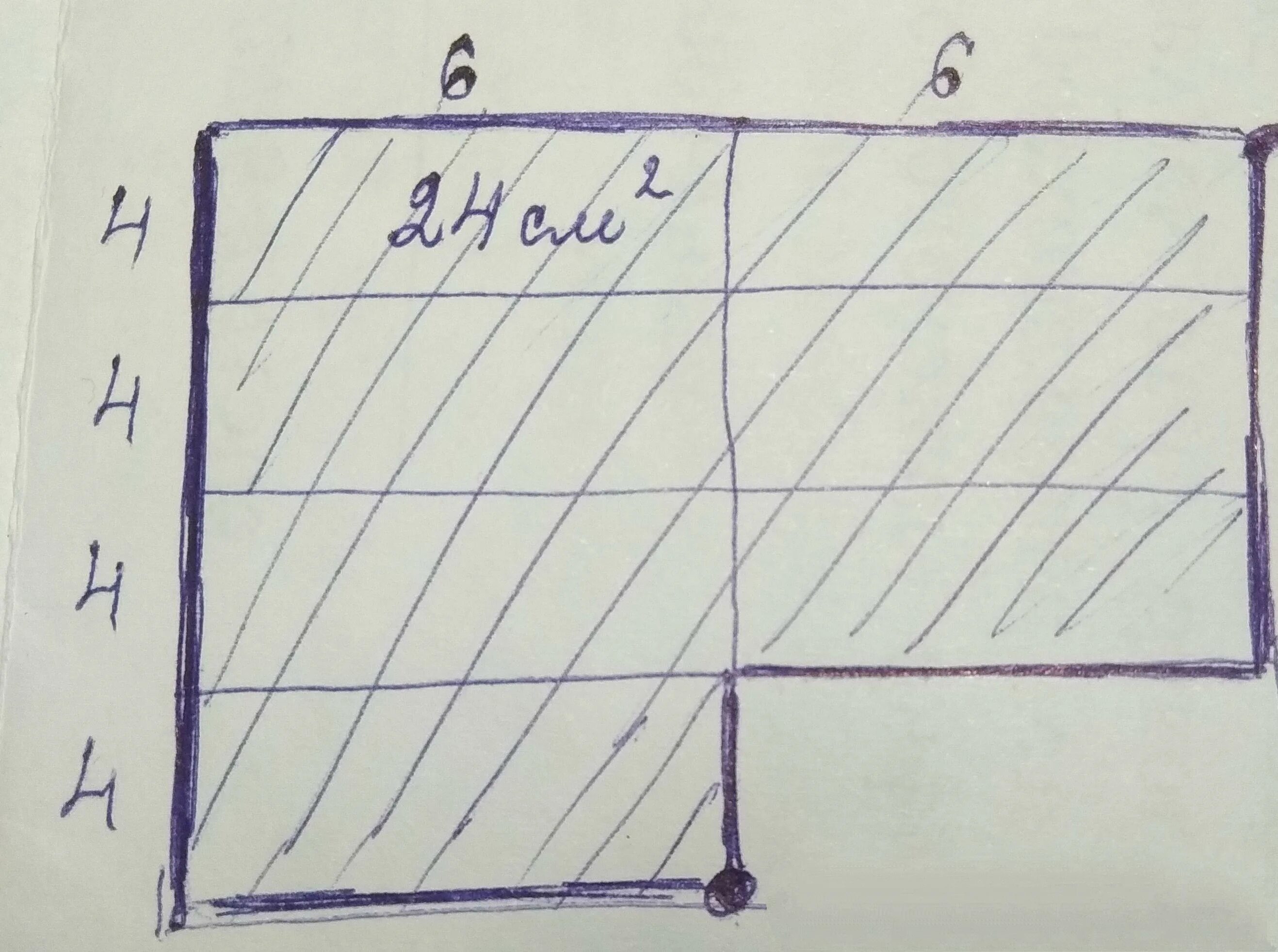 Лист бумаги расчерчен на прямоугольнике со сторонами. Лист бумаги расчерчен на прямоугольники со сторонами 6 см. Лист расчерченный на прямоугольники. Лист расчерчен на прямоугольники со сторонами 4 см и 6 см. На рисунке дано поле расчерченное.