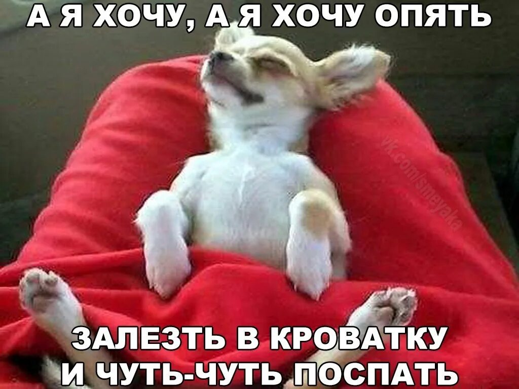 Тебя не хватает чуть чуть