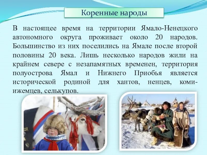 Традиции народов Ямало Ненецкого автономного округа. Народ ненцы кратко. Основные занятия ненцев. Доклад о северных народах.