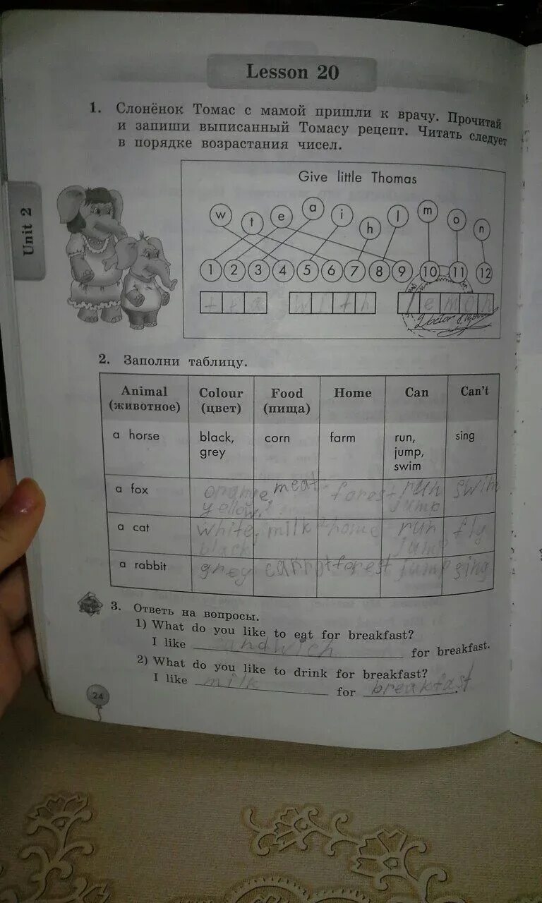 Lesson 24 3 класс. Англ яз 3 кл биболетова рабочая тетрадь. Lesson 24 3 класс. Lesson 24 3 класс. Стр 24 рабочая тетрадь английский язык рабочая тетрадь биболетова.