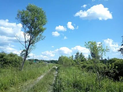 Голос за нижегородская