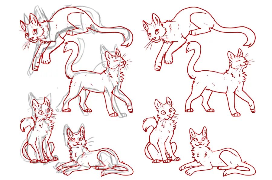 Cats tutorials