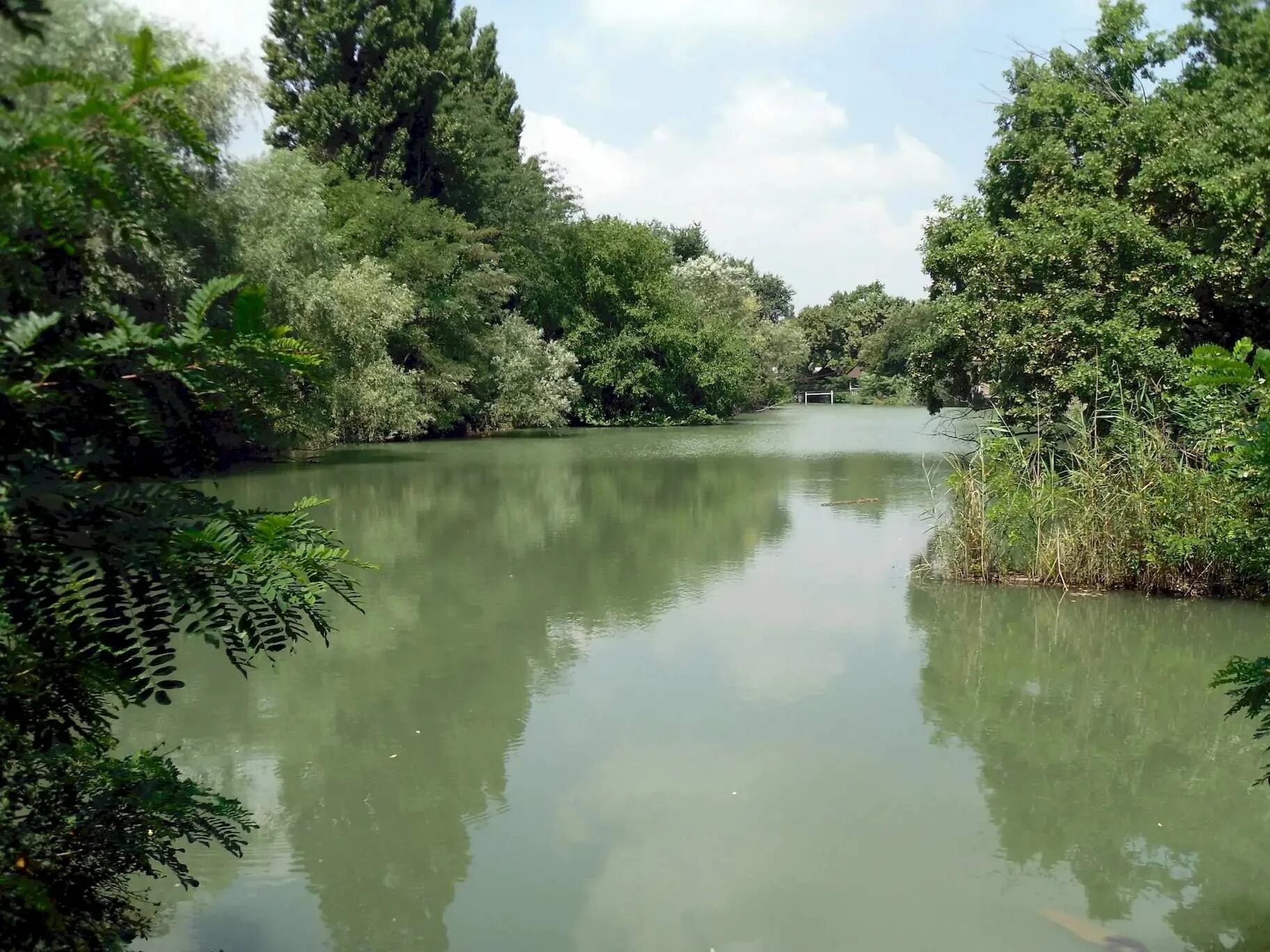 Какая река в краснодаре. Солнечный остров парк кубань. Адыгейская набережная краснодар река. Какая река в краснодаре. Краснодар вид с тургеневского моста.