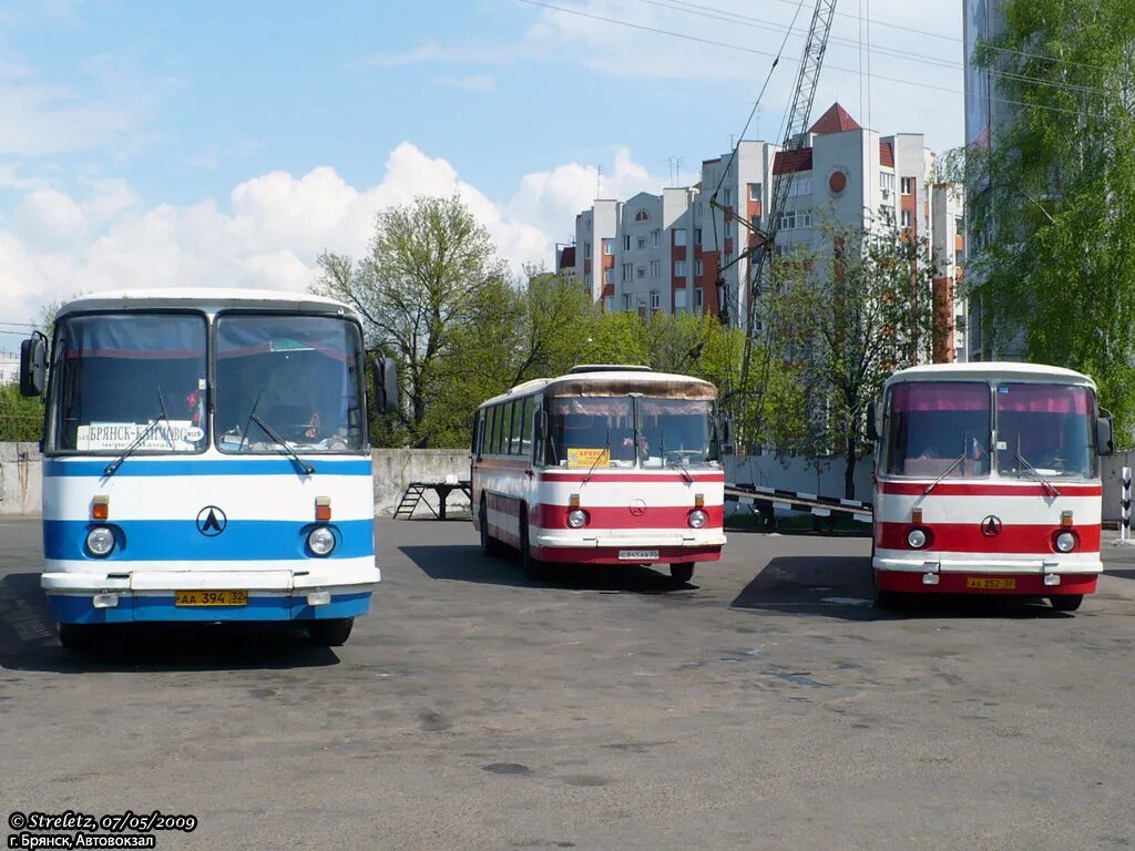 Автостанция Брянск. Климово автовокзал Брянской. Стародуб Брянская область автовокзал. Брянск автовокзал Стародуб.