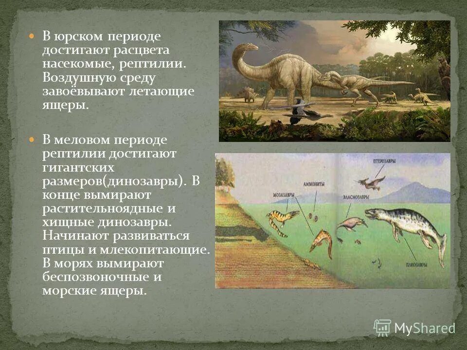 В каком периоде вымерли рептилии. В каком периоде вымерли рептилии