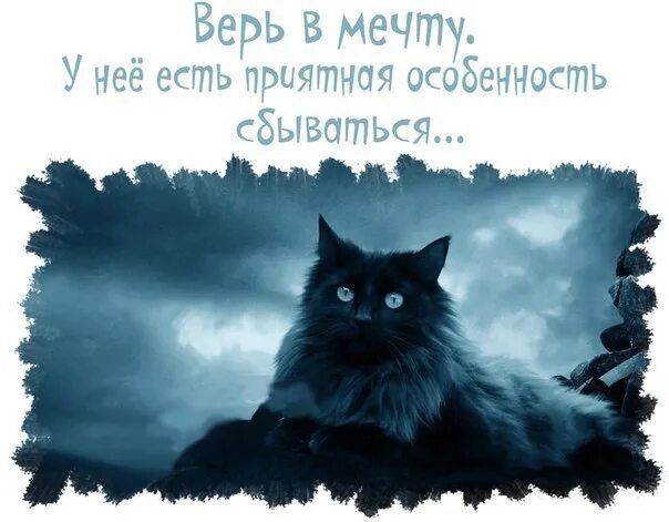 У нее есть мечта