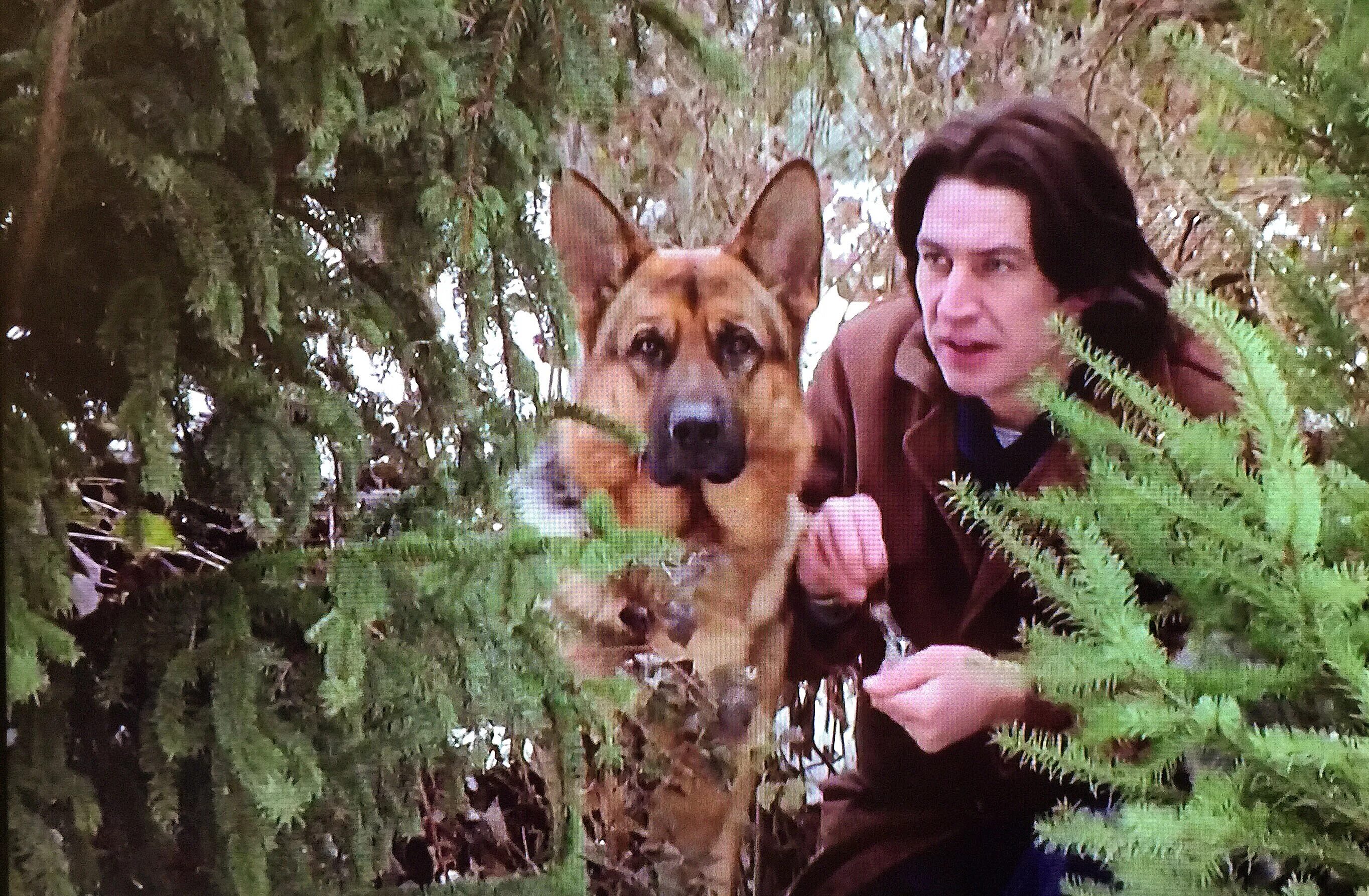 Комиссар рекс 1994. Тобиас моретти и рекс. Тобиас моретти комиссар рекс. Гедеон буркхард комиссар рекс. Комиссар рекс брандтнер.