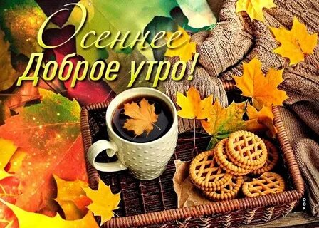 Picture background