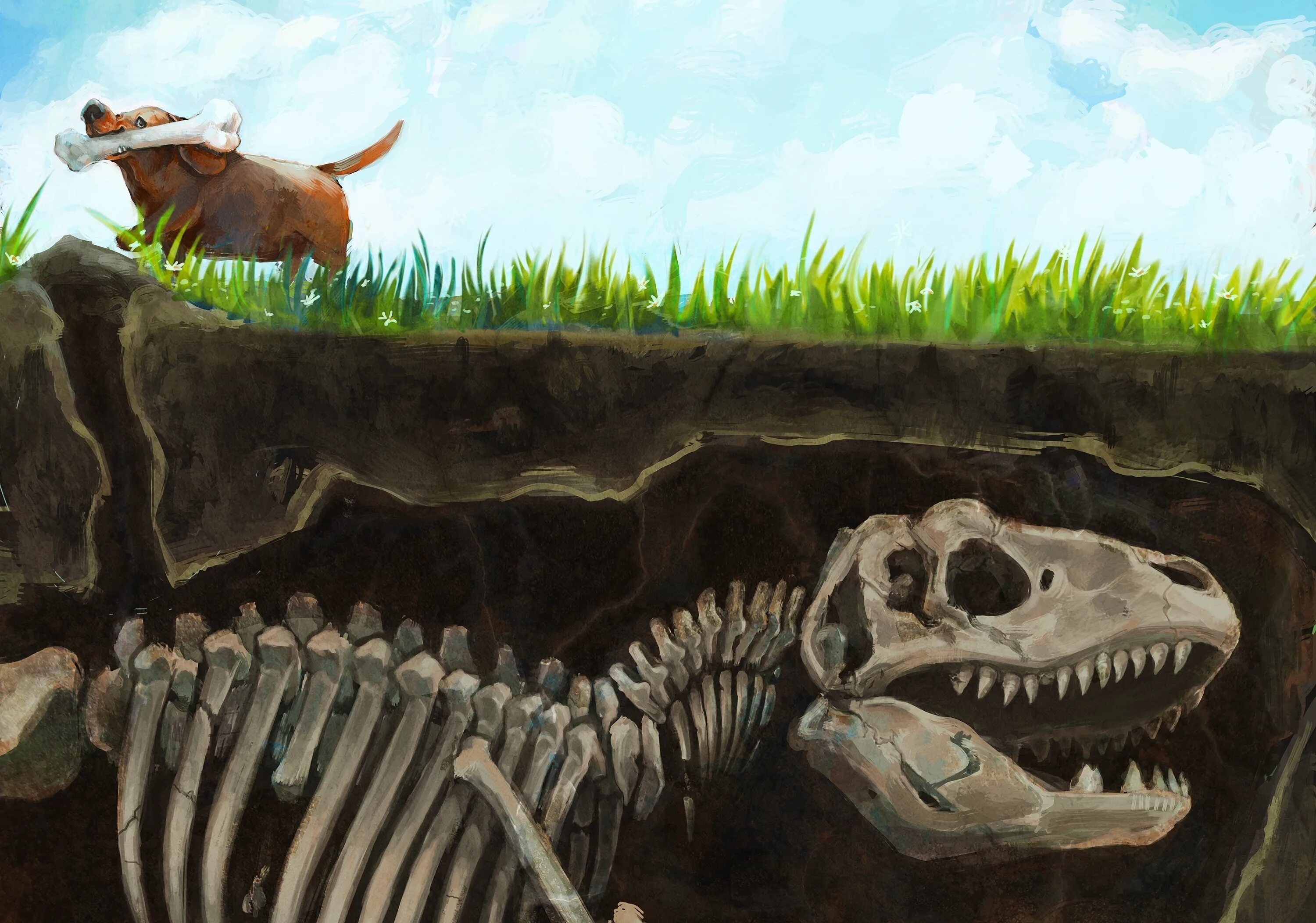 Жизнь животных под землей. Динозавры под землей. Динозавры вымерли скелеты. Кости динозавров.