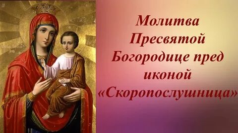 С праздником скоропослушницы картинки