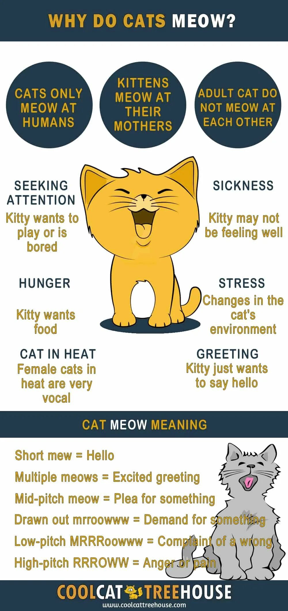 Cat meaning. Meow Meow Cat. Kitty Cat и Cat been. Идиома Cats Meow. Why Cat.
