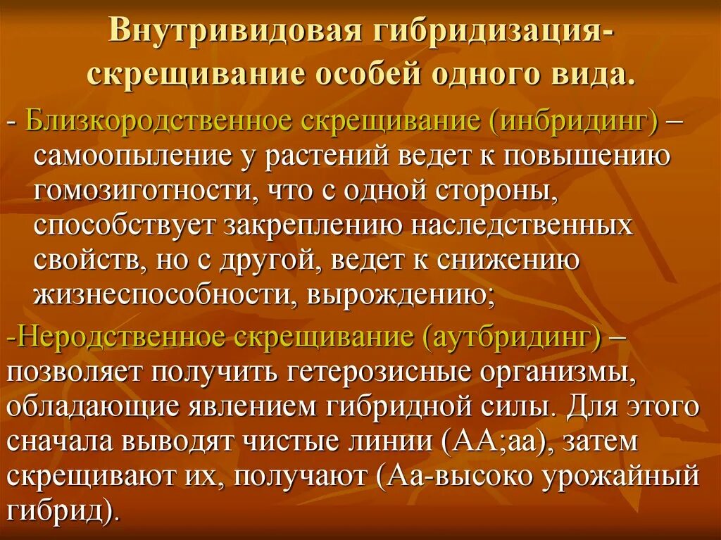 Суть метода гибридизации. Внутривидовая гибридизация. Гибридизация метод в биологии. Пример метода гибридизации. Примеры внутривидовой гибридизации в селекции.