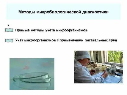 Количественный метод определения бактерий