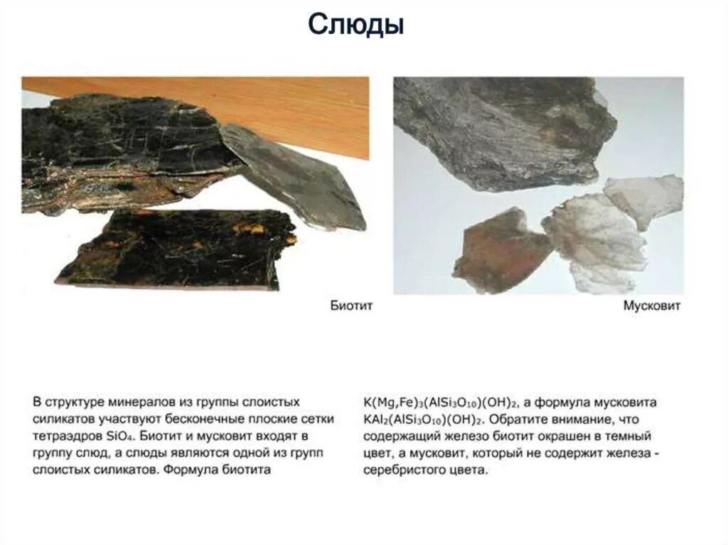 Слоистые силикаты минералы. Листовые силикаты минералы. Слюда и силикаты. Состав слюды. Слова слюда