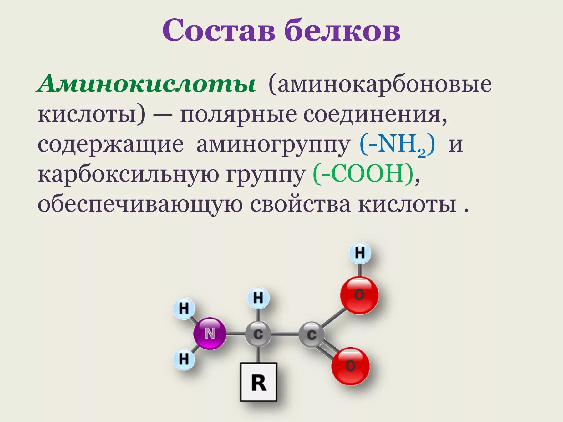 Строение белков и аминокислот. Белки состав и структура аминокислот. Белки структура аминокислоты. Белок строение аминокислоты.