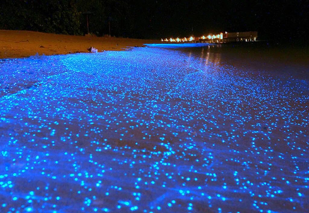 Glowing beach