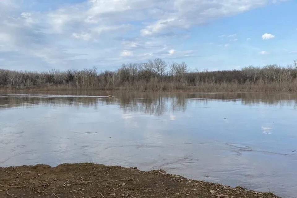 Урал уровень. Река урал. реки в уральском районе. оренбургский район реки. река урал фото.