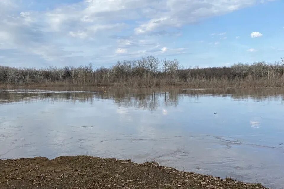 Уровень воды в реке урал сегодня. Река Урал. Реки в Уральском районе. Оренбургский район реки. Река Урал фото.