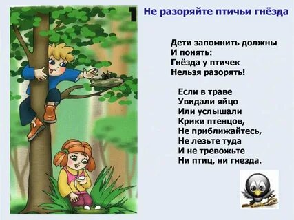 Тема полезть