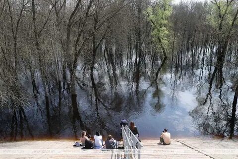 Уровень сожа гомель 2024 сегодня