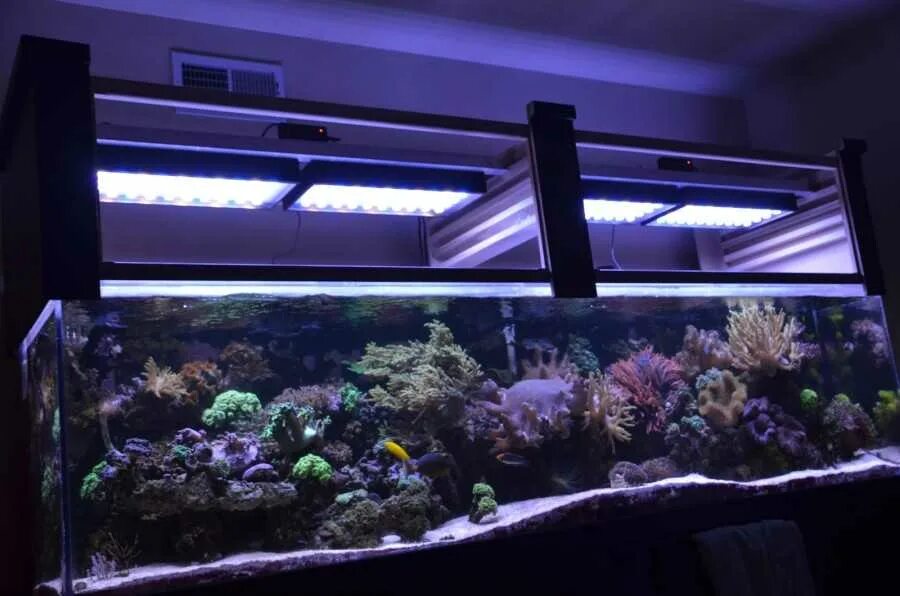 Аквариум риф 250. Лампа для аквариума. Lq 90 rgb светильник светодиодный для аквариума. Аквафишка светильник для аквариума светодиодный. Подсветка аквариума светодиодной.