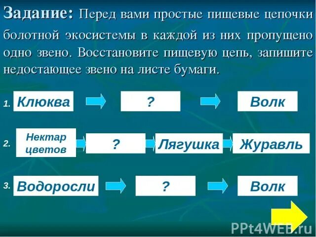 Пищевая цепочка болота. Болотная цепь питания. Пищевая цепь животных болота. Цепь питания болото. Составить цепь питания для болота