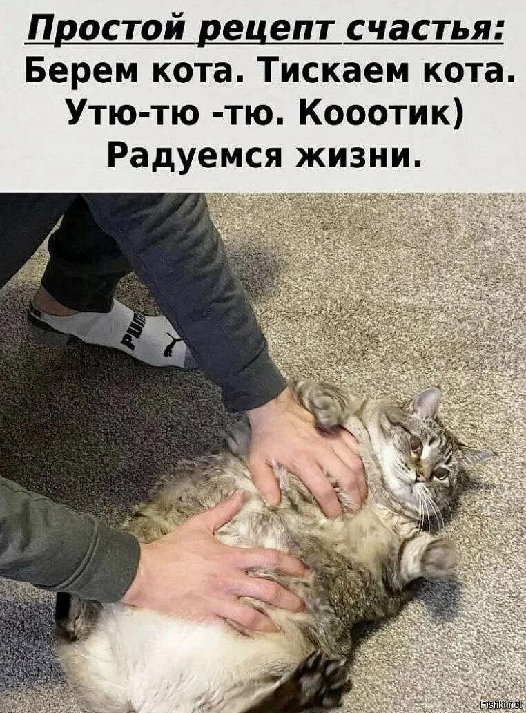 Рецепт берем кошачью