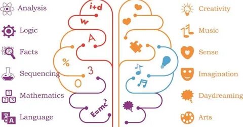 Left brain