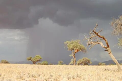 Weather africa