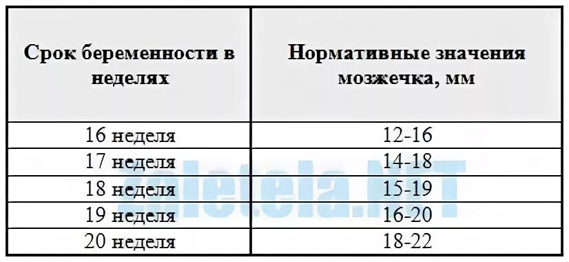 Мозжечок у плода норма. Норма мозжечка в 20 недель беременности в таблицах. Мозжечок плода по неделям таблица норма. Мозжечок 20 недель беременности норма у плода таблица по неделям. Межполушарный размер мозжечка на 20 неделе беременности норма.